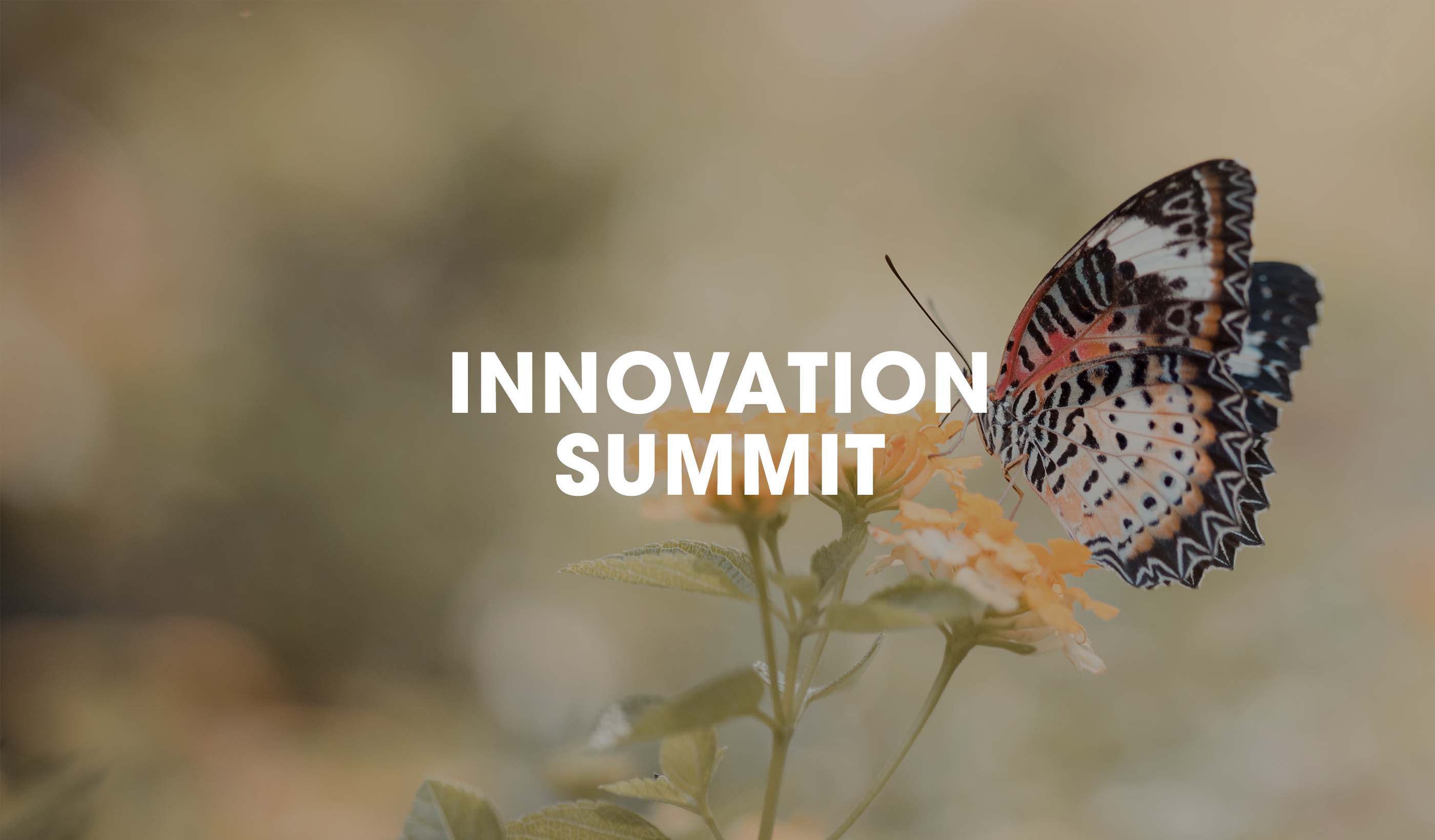 Chasing Butterflies with our Eyes in the Sky