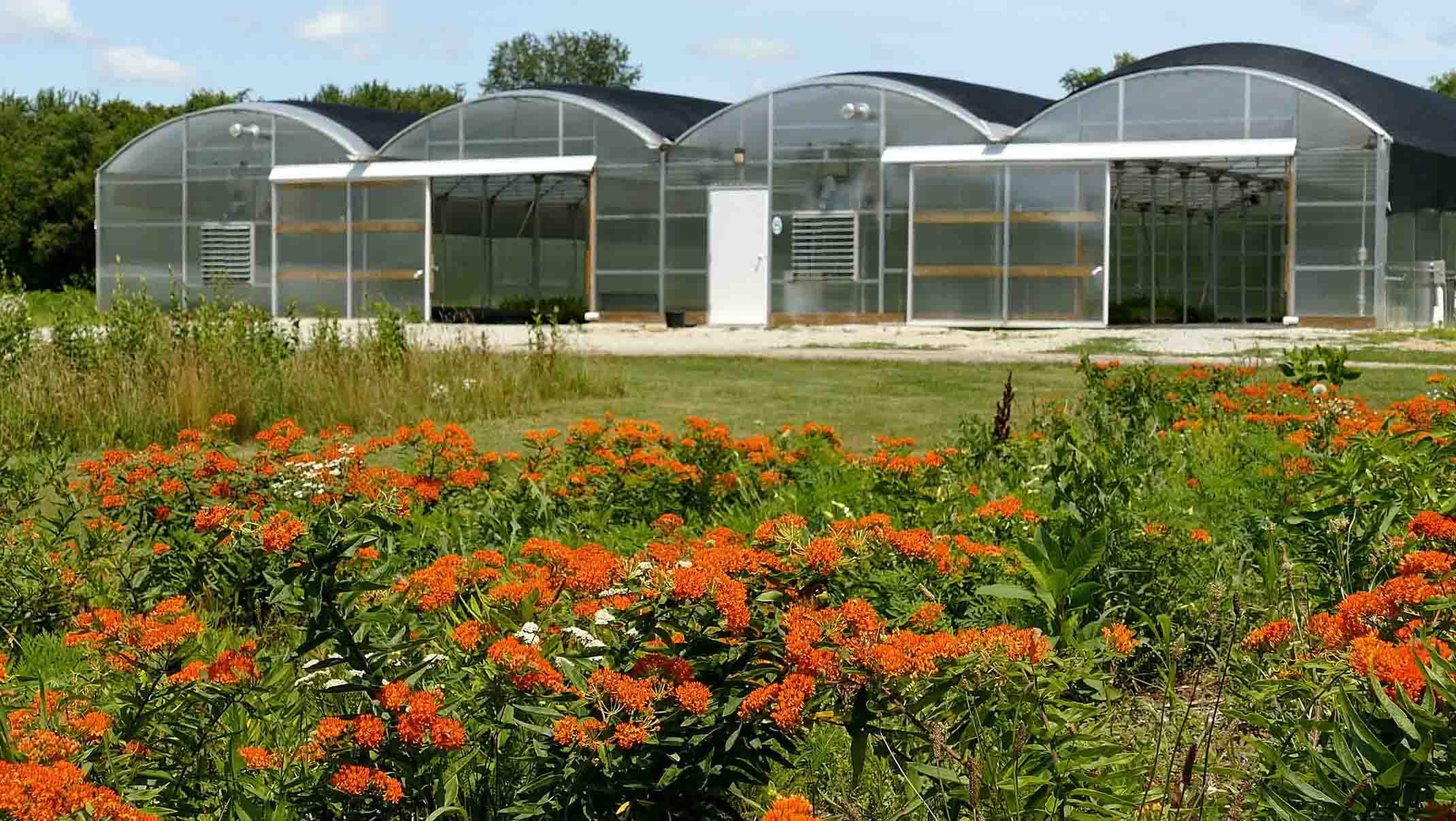 Exterior nursery with plantings