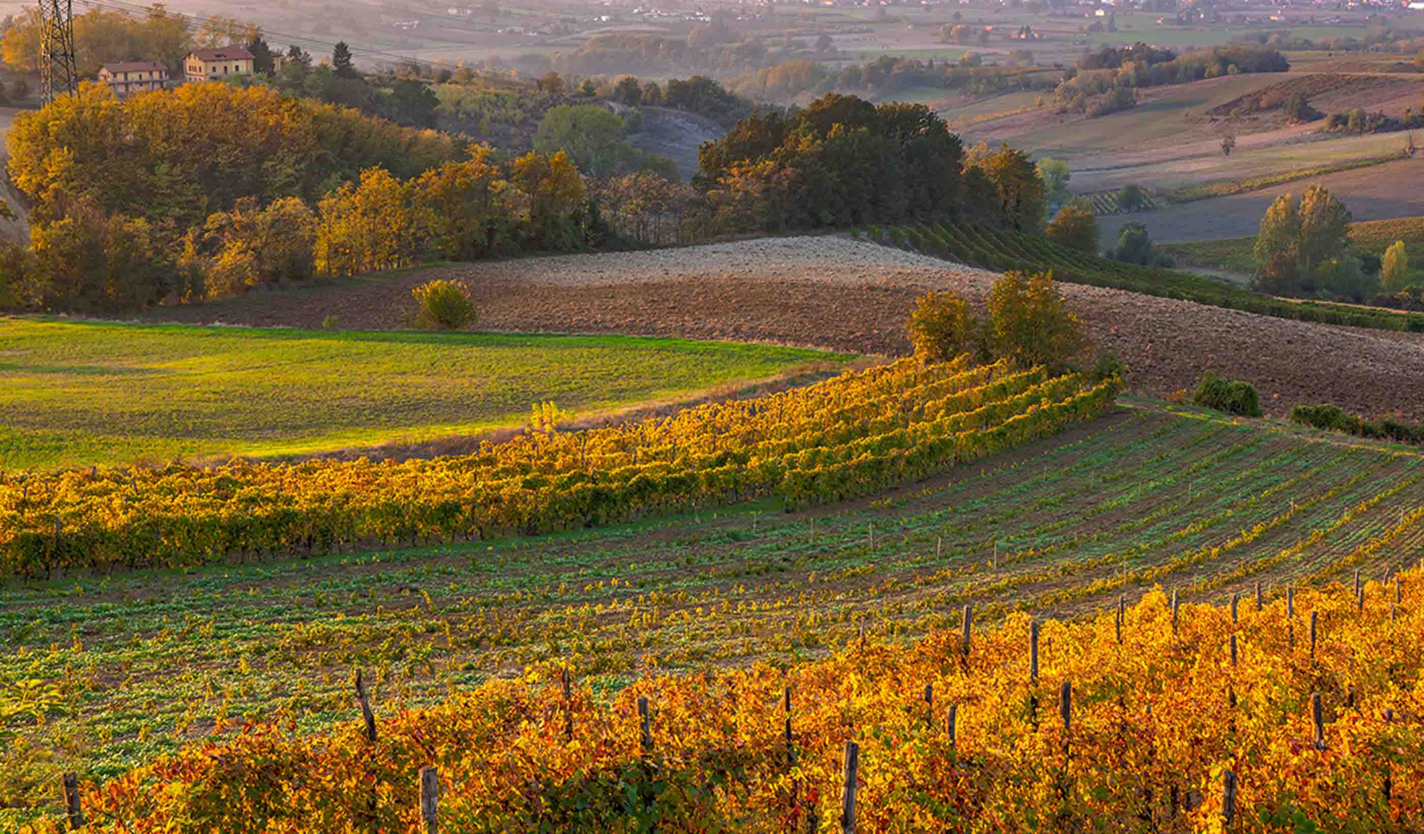 Stantec Digital Solutions