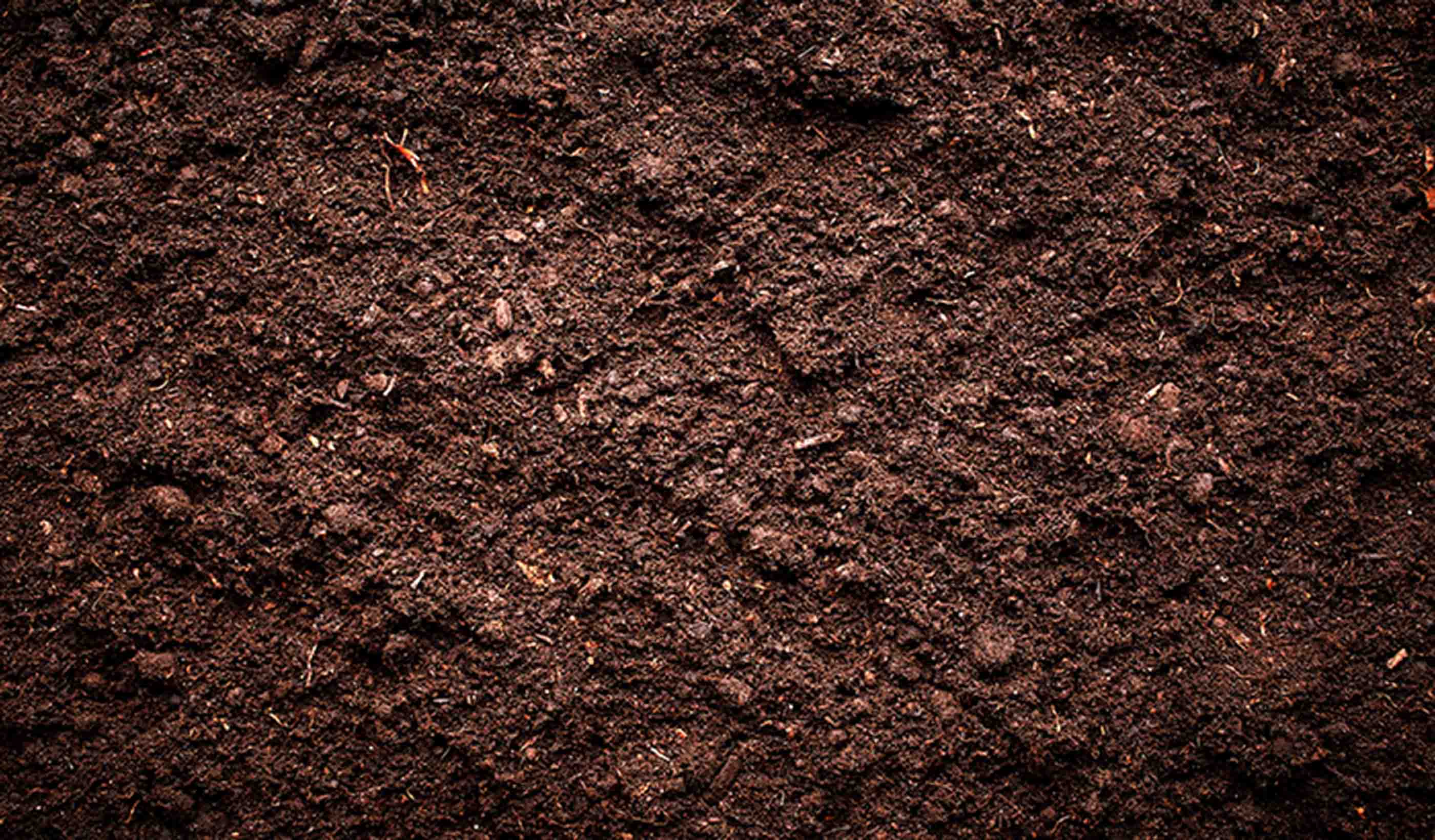 Stantec Digital Solutions