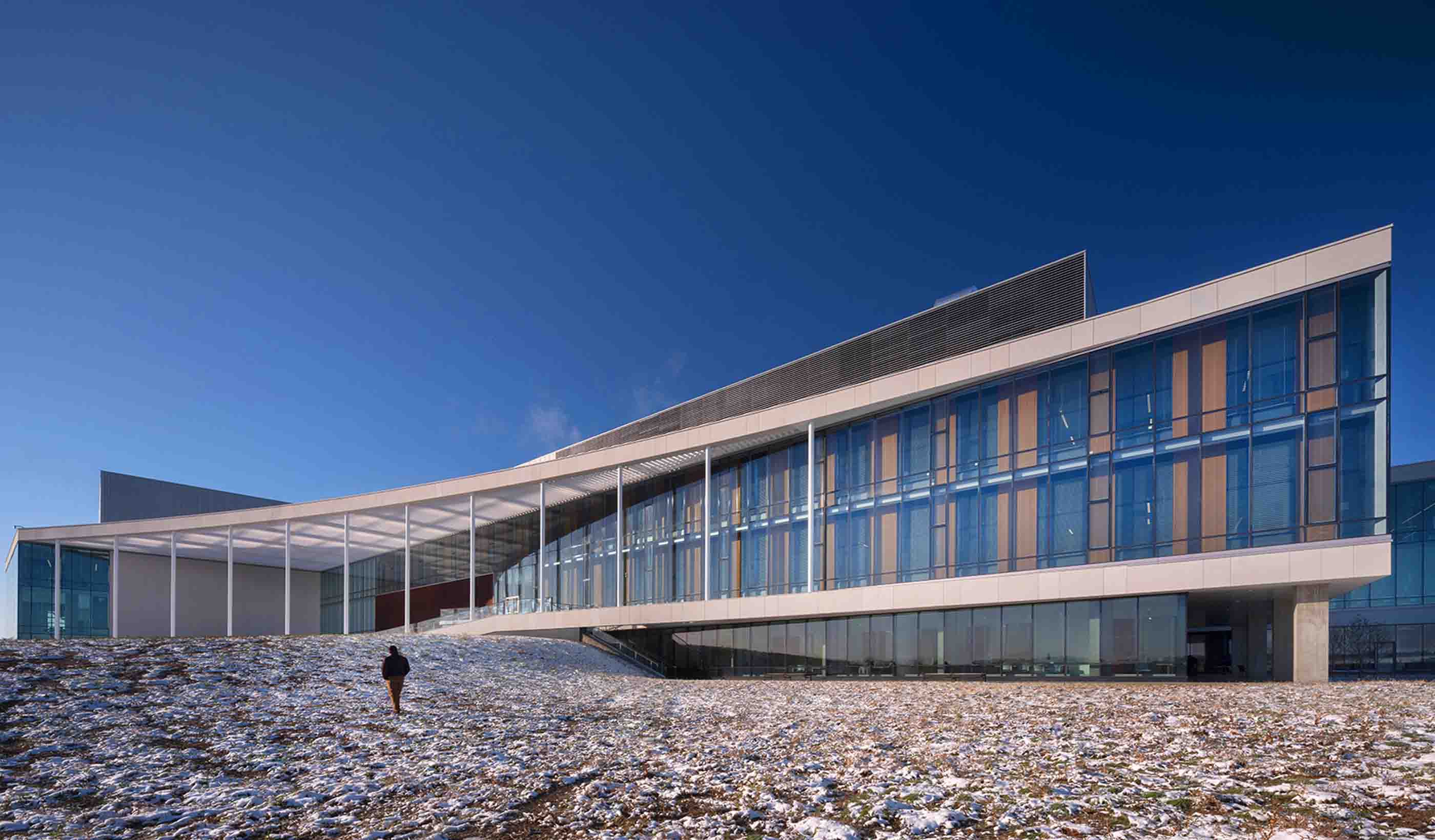 LEED v5: What does the updated sustainability standard mean for design?